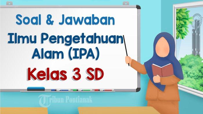 Kumpulan Soal IPAS Kelas 3 SD MI Semester 2 Kurikulum Merdeka dan Kunci Jawaban Contoh Soal Kumpulan Soal IPAS Kelas 3 SD MI Semester 2 Kurikulum Merdeka dan Kunci Jawaban Contoh Soal