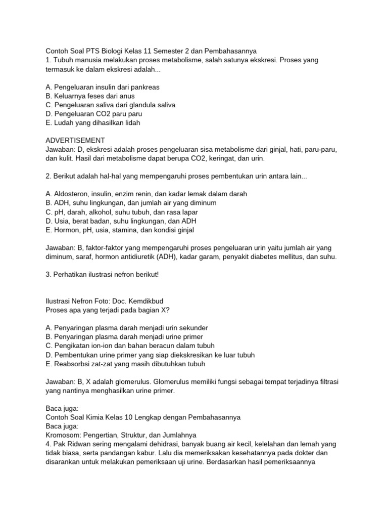 Rahasia Nilai Sempurna Unduh soal biologi kelas 11 semester 2 dan jawabannya pdf Disini Rahasia Nilai Sempurna Unduh soal biologi kelas 11 semester 2 dan jawabannya pdf Disini